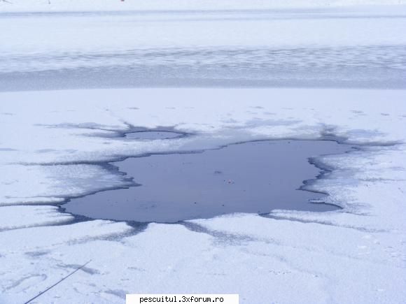 Balta/lac din Gorj - dori - LOCURI DE PESCUIT - BALTI