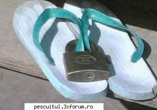 Barci si motoare - sigur nu ai fost atent si ai uitat sa pozezi si - DISCUTII DIVERSE DESPRE PESCUIT