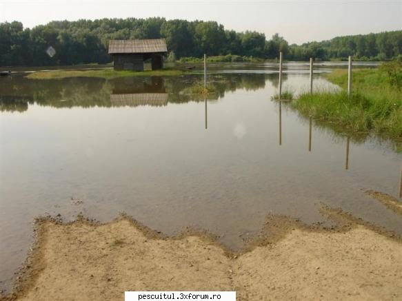 COTELE APELOR DUNARII . - Giurgiu - Ara , Malu Rosu --- 606 cm - PESCUIT LA DUNARE SI IN DELTA DUNARII