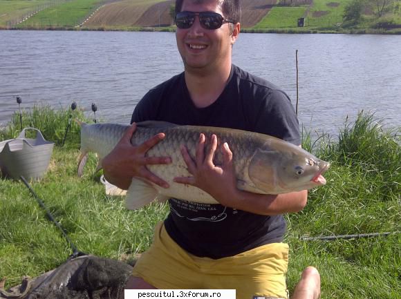 CTENO 15.6 KG LA Bat de 5m! - S- a intamplat pe o balta la 30 km de Bucuresti - VIDEOCLIP - PESCUITUL