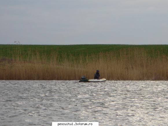 CUPA JAXON GOSTILELE 2011 - Modigliani - CONCURSURI SI COMPETITII PENTRU PESCARI