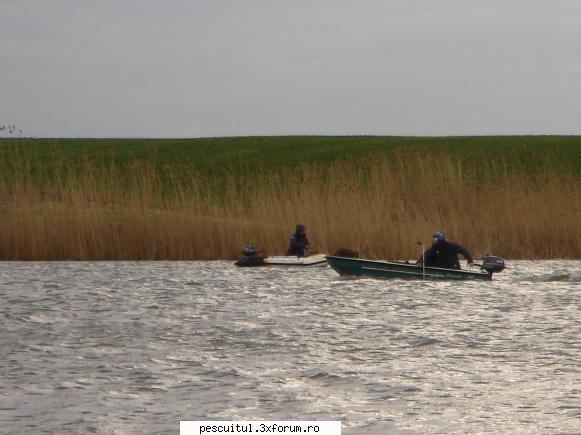 CUPA JAXON GOSTILELE 2011 - Vantul abia-si rosteste primele - CONCURSURI SI COMPETITII PENTRU PESCARI