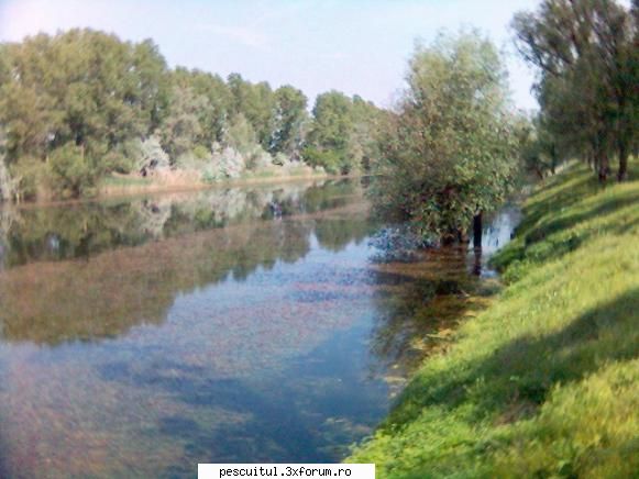 Canalul C0, Cezero - Apa limpede, plante si pasari de apa, specii de - LOCURI DE PESCUIT - BALTI