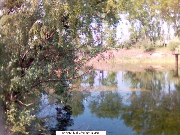 Canalul C0, Cezero - ce rosioare se plimbau prin ochiurile de - LOCURI DE PESCUIT - BALTI