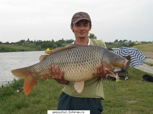 Capturi....capturi !! - "CEL MARE"(17,3) pe aceeasi balta - POZELE MELE - PESCUIT