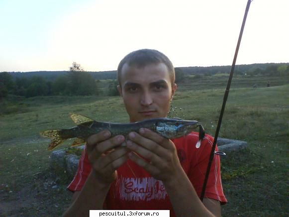 Capturi la spinning - Stiuca,tot acolo,la hornet de 4.5 cm - PESCUIT - SPINING