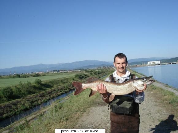 Capturi la spinning - Alt gen de torpila....twister pe jig de 22gr - PESCUIT - SPINING
