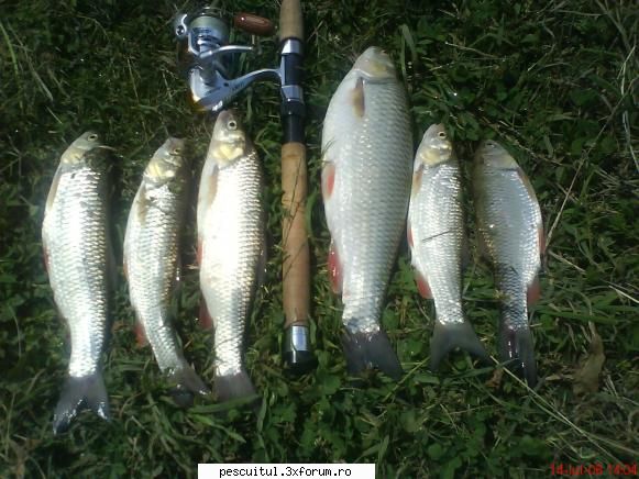 Capturi la spinning - Va salut prieteni pescari. Tocmai ce mi-am facut - PESCUIT - SPINING