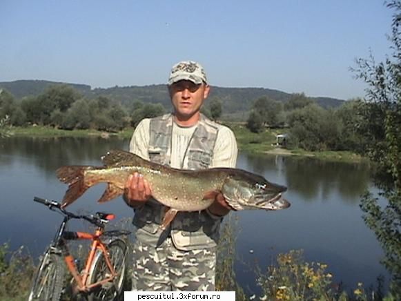 Capturi la spinning - Salut!Pe raul Olt in jud.Sibiu! - PESCUIT - SPINING