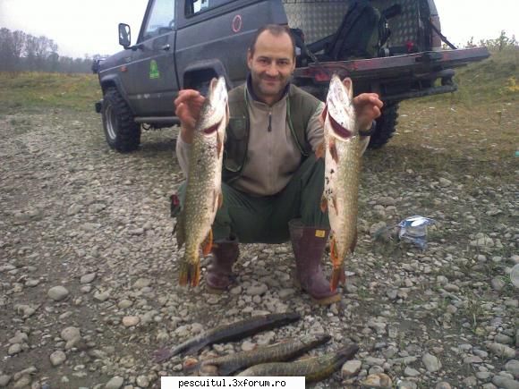 Capturi la spinning - SI PE BALTA ........ dar nu la locul faptei - PESCUIT - SPINING