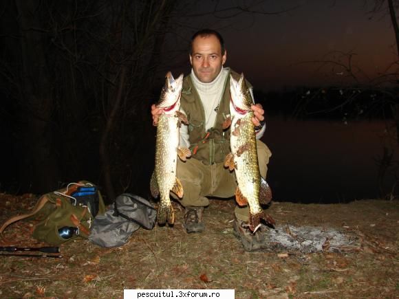 Capturi la spinning - Eu am luat 7 bucati dintre care 4 peste 1,5 kg - PESCUIT - SPINING