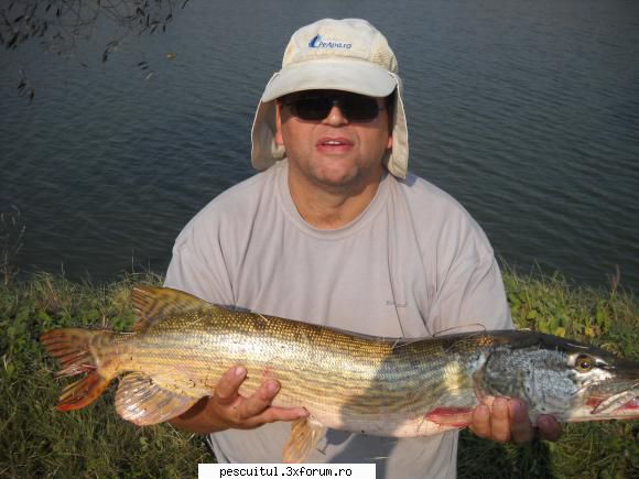 Capturi la spinning - Un mic crocodil de balta - PESCUIT - SPINING