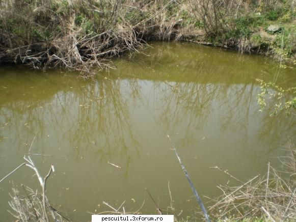 Caras - Pescuitul carasului - Recent am cotrobait prin Dobrogea natala si am - SPECII DE PESTI