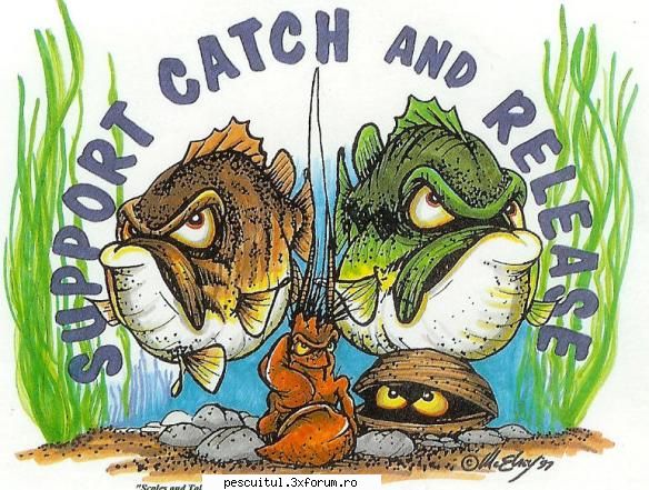 Catch & Release pe ape salbatice !?!?! - In apele salbatice ar trebui sa fie puse in - BRACONAJ - PESCUIT