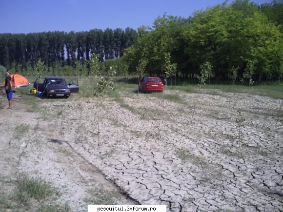 Cetate - Dolj , iulie 2010 - B-29-VDN... la fel de pasionati ca noi, la fel de - POZELE MELE - PESCUIT