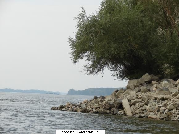 Ceva i-mi scapa! Ceva nu-i in regula pe Dunare! - Pe portiunea de Duna - PESCUIT LA DUNARE SI IN DELTA DUNARII