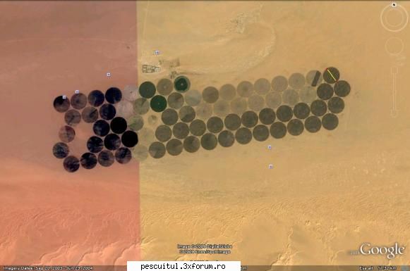 ,, Chestii " ... pe Google Earth ! - Detaliu . Obiectele ( rezervoare ??? ) au - CAFENEA - DISCUTII OFF TOPIC