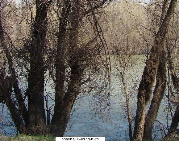 Chestiuni ..... diverse ! - Apă multă,apă mută ! Apă - BATTLEFIELD - CAMP DE LUPTA