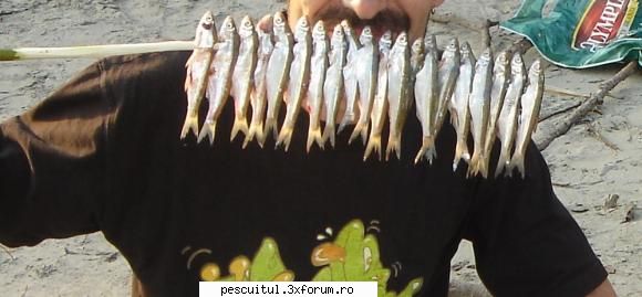 Chipsuri - Modigliani - RETETE - bors de peste , peste la gratar , peste la cuptor ....