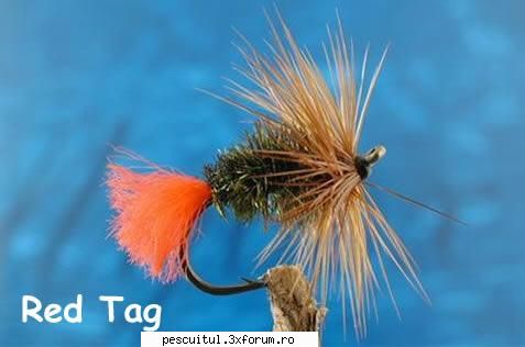 Clean la musca artificiala - 4 muste pentru clean - pescarul - PESCUIT - FLY FISHING