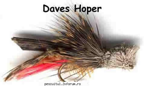Clean la musca artificiala - 4 muste pentru clean - pescarul - PESCUIT - FLY FISHING