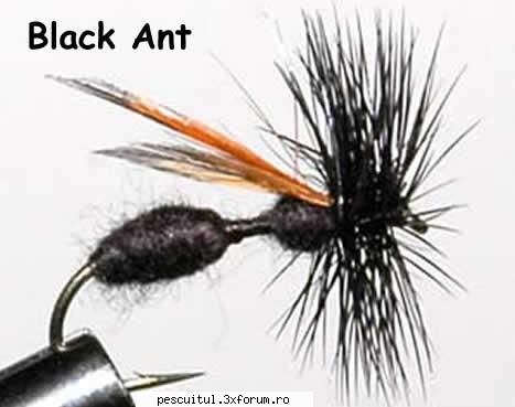 Clean la musca artificiala - 4 muste pentru clean - pescarul - PESCUIT - FLY FISHING