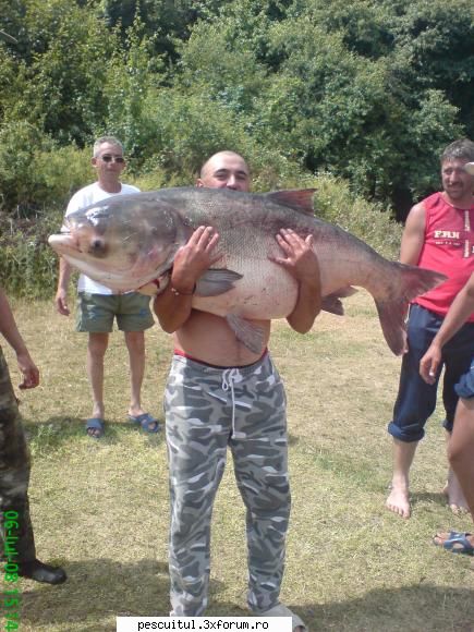 Crap din lacul cincis-jud. hunedoara - Am gasit poza prin calculator si m-am gandit - POZELE MELE - PESCUIT
