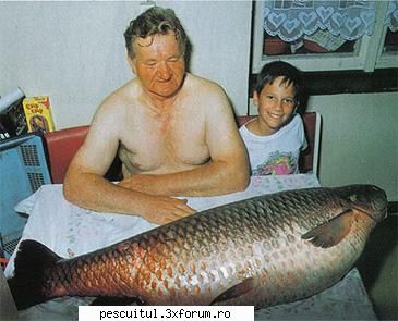 Cteno ( tenul , amurul alb ) - Pescuitul la cteno - Recordul mondial category: rod & reel - SPECII DE PESTI