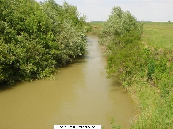 Cum suportam perioada ramasa pana la terminarea prohibitiei - Modigliani - REZERVAT MEMBRILOR " PESCAR HOINAR PRIN ROMANIA "