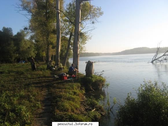 DElta Dunarii la Dunavat - Foto de anul asta in toamna - JURNAL DE PARTIDA - POVESTIRI PE-NDELETE !