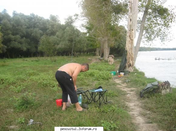 DElta Dunarii la Dunavat - ciptes - JURNAL DE PARTIDA - POVESTIRI PE-NDELETE !