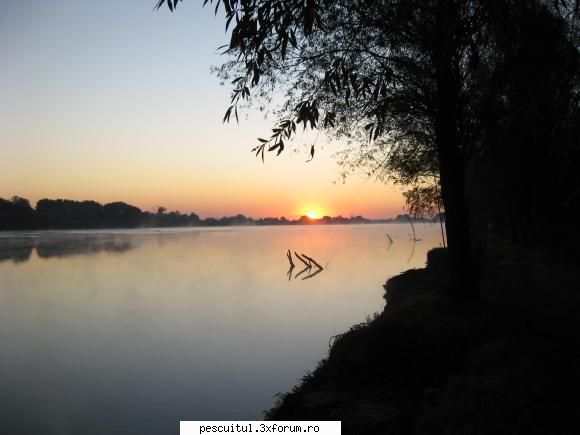 Delta Dunarii - mihaireseka - PESCUIT LA DUNARE SI IN DELTA DUNARII