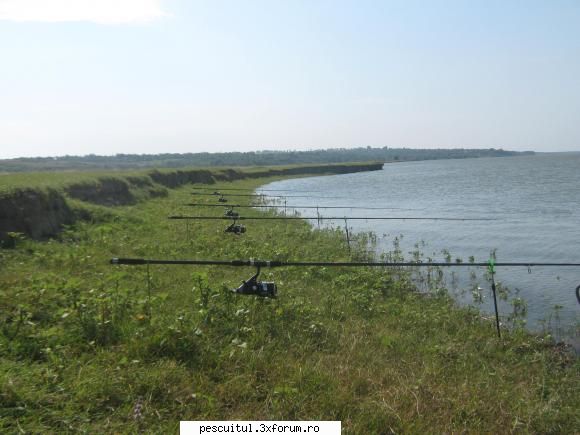 Dunarea - Ultimele informatii 2009 - rezultate spre zero - PESCUIT LA DUNARE SI IN DELTA DUNARII