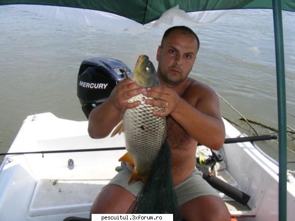 Dunarea - Ultimele informatii 2009 - Si iar am uitat sa uploadez - PESCUIT LA DUNARE SI IN DELTA DUNARII