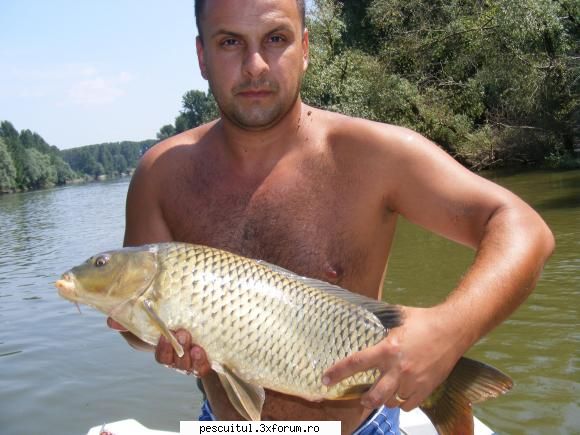Dunarea - Ultimele informatii 2009 - Puffyk - PESCUIT LA DUNARE SI IN DELTA DUNARII