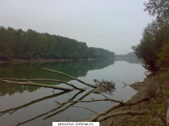 Dunarea - ultimele informatii 2011 - La multi ani, pescari dunareni! - PESCUIT LA DUNARE SI IN DELTA DUNARII
