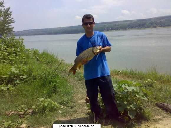 Dunarea . Calarasi, km fv 370 - Giurgiu, km fv 510 - el e Alin, care d - PESCUIT LA DUNARE SI IN DELTA DUNARII