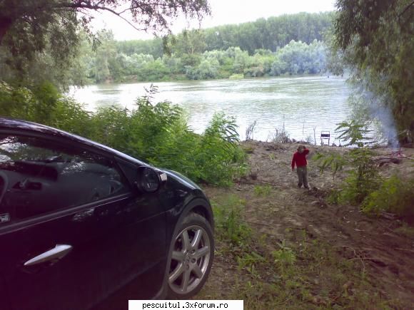 Dunarea . Calarasi, km fv 370 - Giurgiu, km fv 510 - ca sa fie mai cla - PESCUIT LA DUNARE SI IN DELTA DUNARII