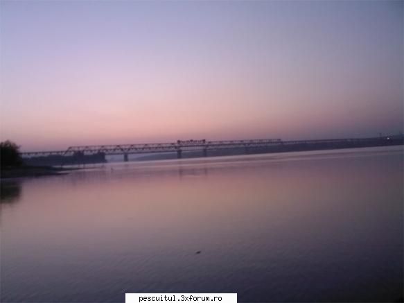 Dunarea . Calarasi, km fv 370 - Giurgiu, km fv 510 - Podul spre 'bulga - PESCUIT LA DUNARE SI IN DELTA DUNARII