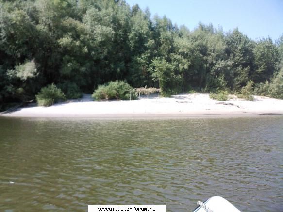 Dunarea . Calarasi, km fv 370 - Giurgiu, km fv 510 - Amplasmentul tabe - PESCUIT LA DUNARE SI IN DELTA DUNARII
