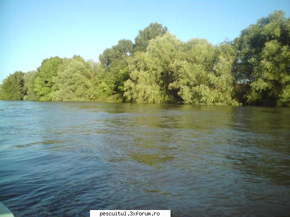 Dunarea . Calarasi, km fv 370 - Giurgiu, km fv 510 - Dunarea in padure - PESCUIT LA DUNARE SI IN DELTA DUNARII