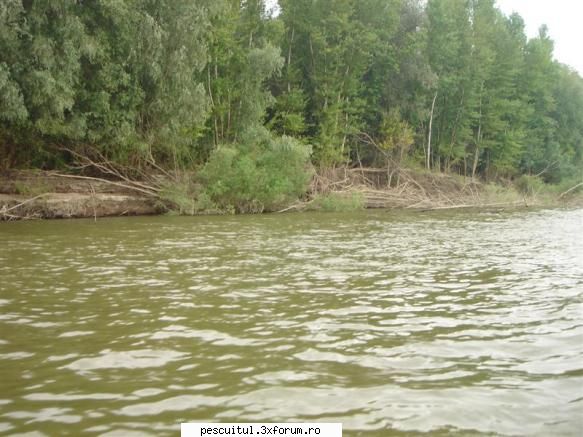 Dunarea . Calarasi, km fv 370 - Giurgiu, km fv 510 - Sambata 31 Iulie - PESCUIT LA DUNARE SI IN DELTA DUNARII