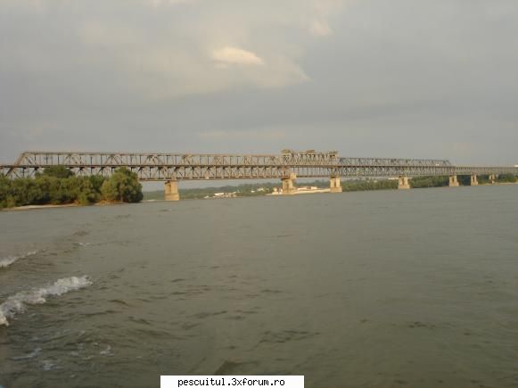 Dunarea . Calarasi, km fv 370 - Giurgiu, km fv 510 - Modigliani - PESCUIT LA DUNARE SI IN DELTA DUNARII