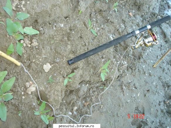 Dunarea . Calarasi, km fv 370 - Giurgiu, km fv 510 - Imi intind ,, Cen - PESCUIT LA DUNARE SI IN DELTA DUNARII