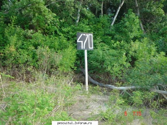 Dunarea . Calarasi, km fv 370 - Giurgiu, km fv 510 - Pe la 7 eram cu b - PESCUIT LA DUNARE SI IN DELTA DUNARII