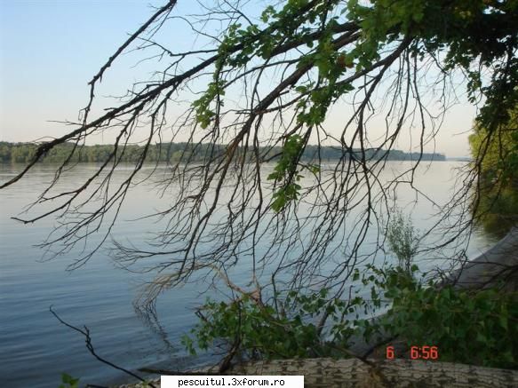 Dunarea . Calarasi, km fv 370 - Giurgiu, km fv 510 - Modigliani - PESCUIT LA DUNARE SI IN DELTA DUNARII