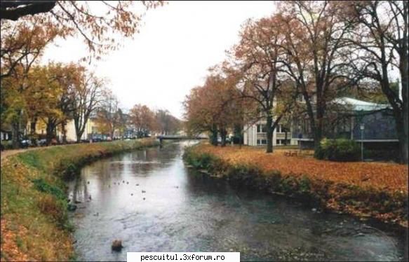 Dunarea de-a lungul Europei ! - Donaueschingen (Germania), unde avem - PESCUIT LA DUNARE SI IN DELTA DUNARII