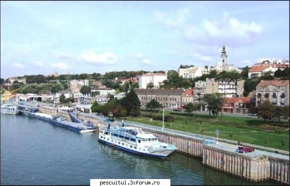 Dunarea de-a lungul Europei ! - Dunarea la Belgrad - PESCUIT LA DUNARE SI IN DELTA DUNARII