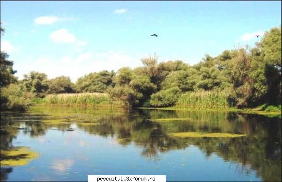 Dunarea de-a lungul Europei ! - In padurea Letea, cu aspect tropical - PESCUIT LA DUNARE SI IN DELTA DUNARII