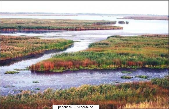 Dunarea de-a lungul Europei ! - Delta Dunarii, zona protejata - PESCUIT LA DUNARE SI IN DELTA DUNARII